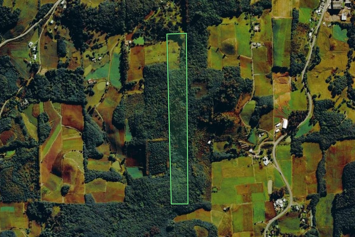 Imagem de satélite do imóvel rural em Farroupilha (RS), com o contorno declarado no CAR desenhado por cima.