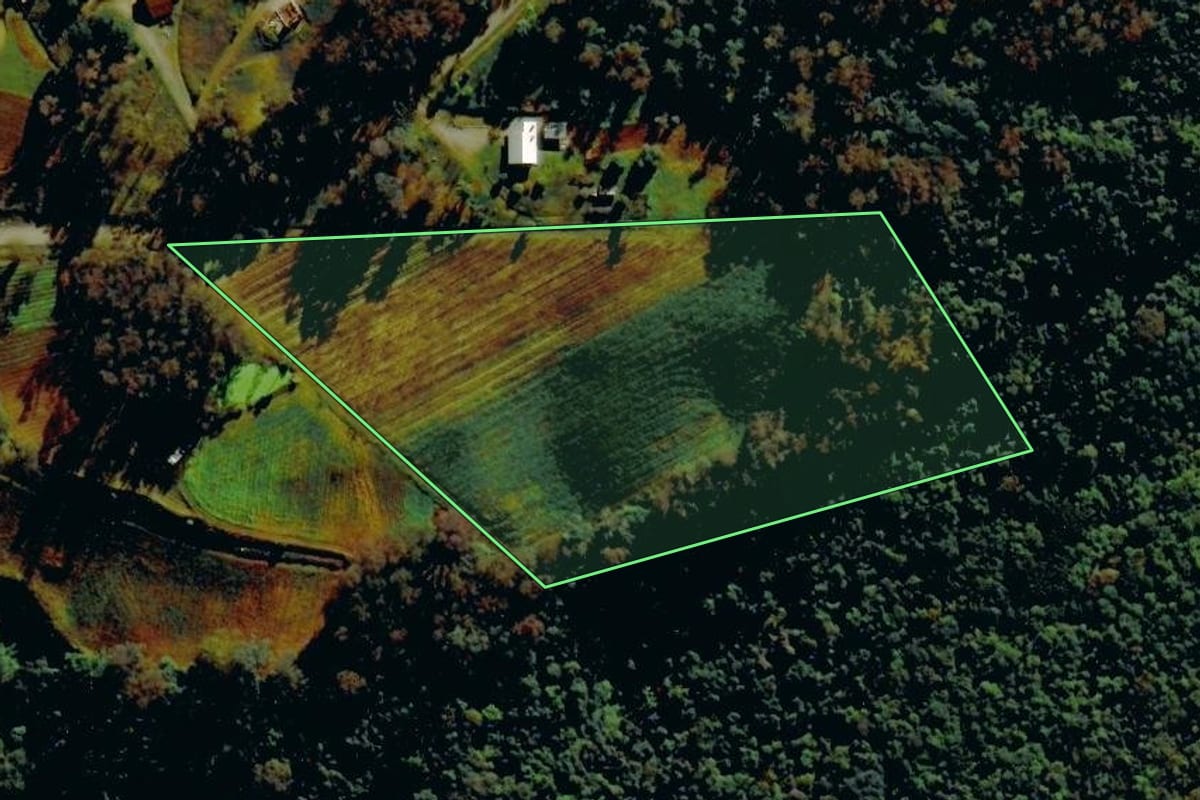 Imagem de satélite do imóvel rural em Farroupilha (RS), com o contorno declarado no CAR desenhado por cima.