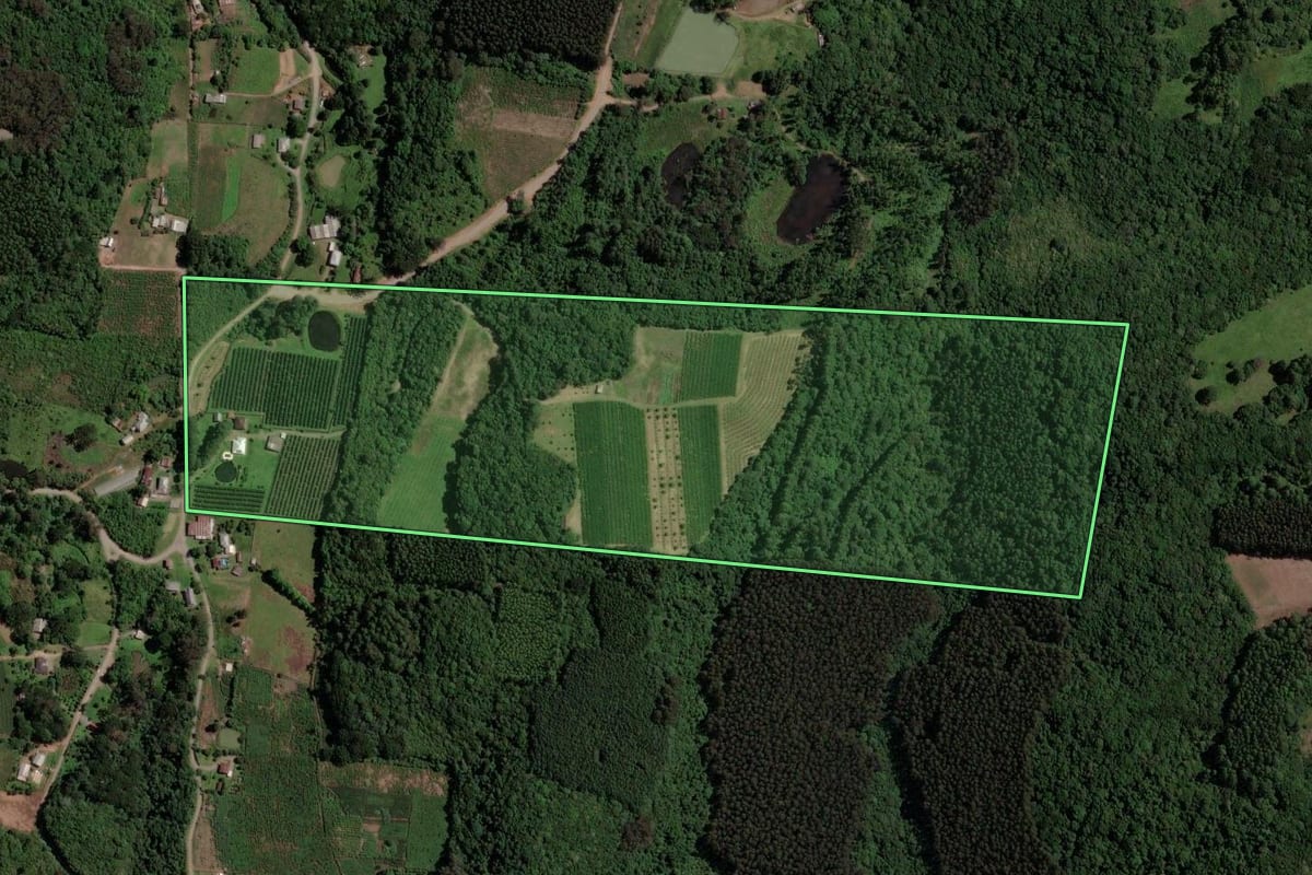 Imagem de satélite do imóvel rural em Farroupilha (RS), com o contorno declarado no CAR desenhado por cima.