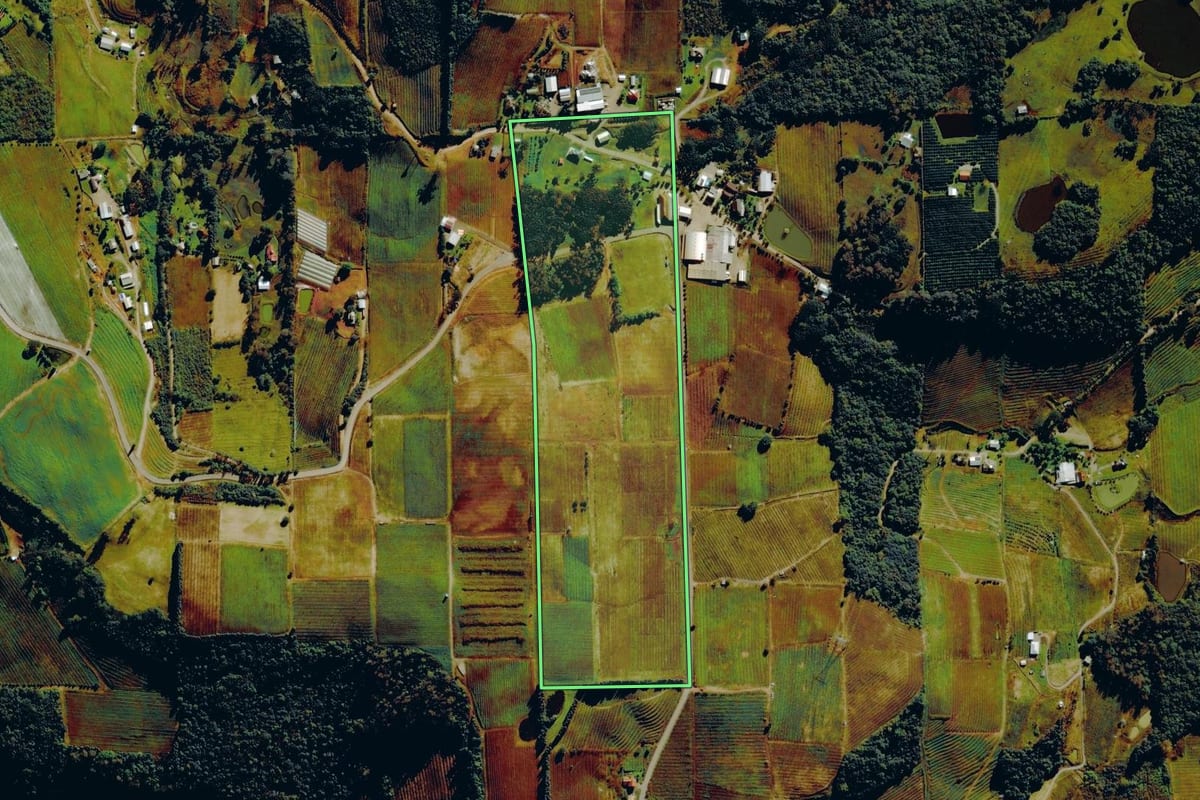 Imagem de satélite do imóvel rural em Farroupilha (RS), com o contorno declarado no CAR desenhado por cima.