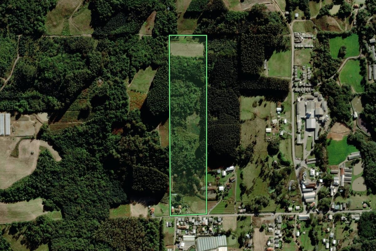 Imagem de satélite do imóvel rural em Farroupilha (RS), com o contorno declarado no CAR desenhado por cima.
