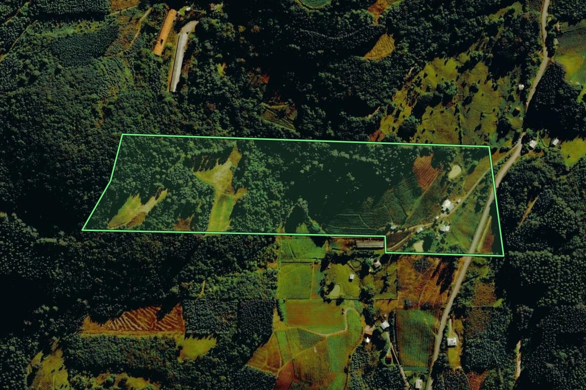 Imagem de satélite do imóvel rural em Farroupilha (RS), com o contorno declarado no CAR desenhado por cima.