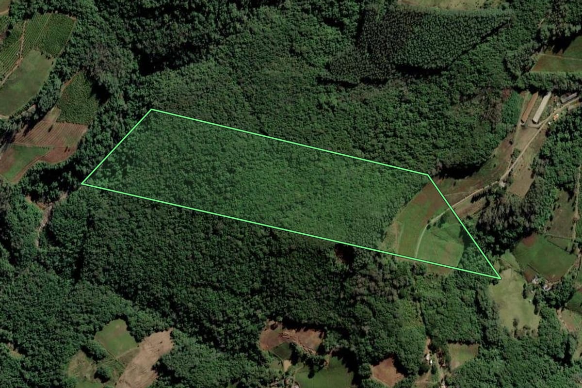 Imagem de satélite do imóvel rural em Farroupilha (RS), com o contorno declarado no CAR desenhado por cima.