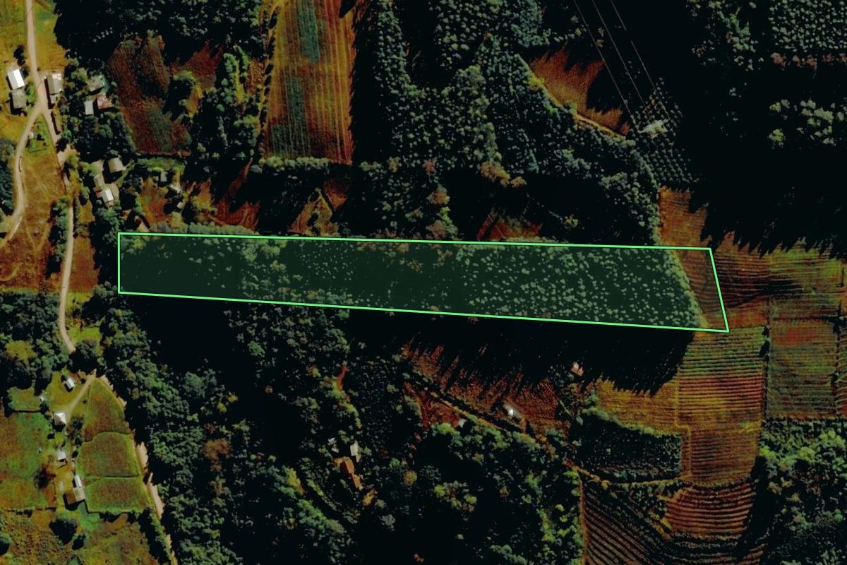 Imagem de satélite do imóvel rural em Farroupilha (RS), com o contorno declarado no CAR desenhado por cima.