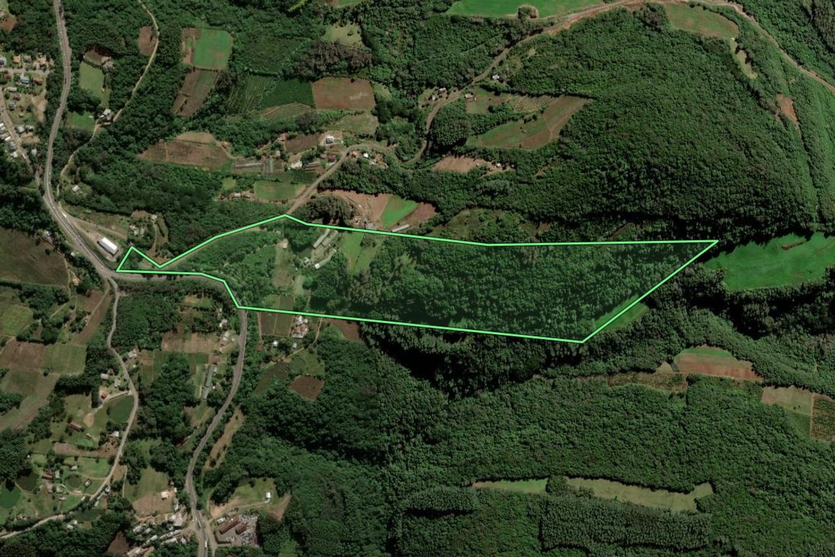 Imagem de satélite do imóvel rural em Farroupilha (RS), com o contorno declarado no CAR desenhado por cima.