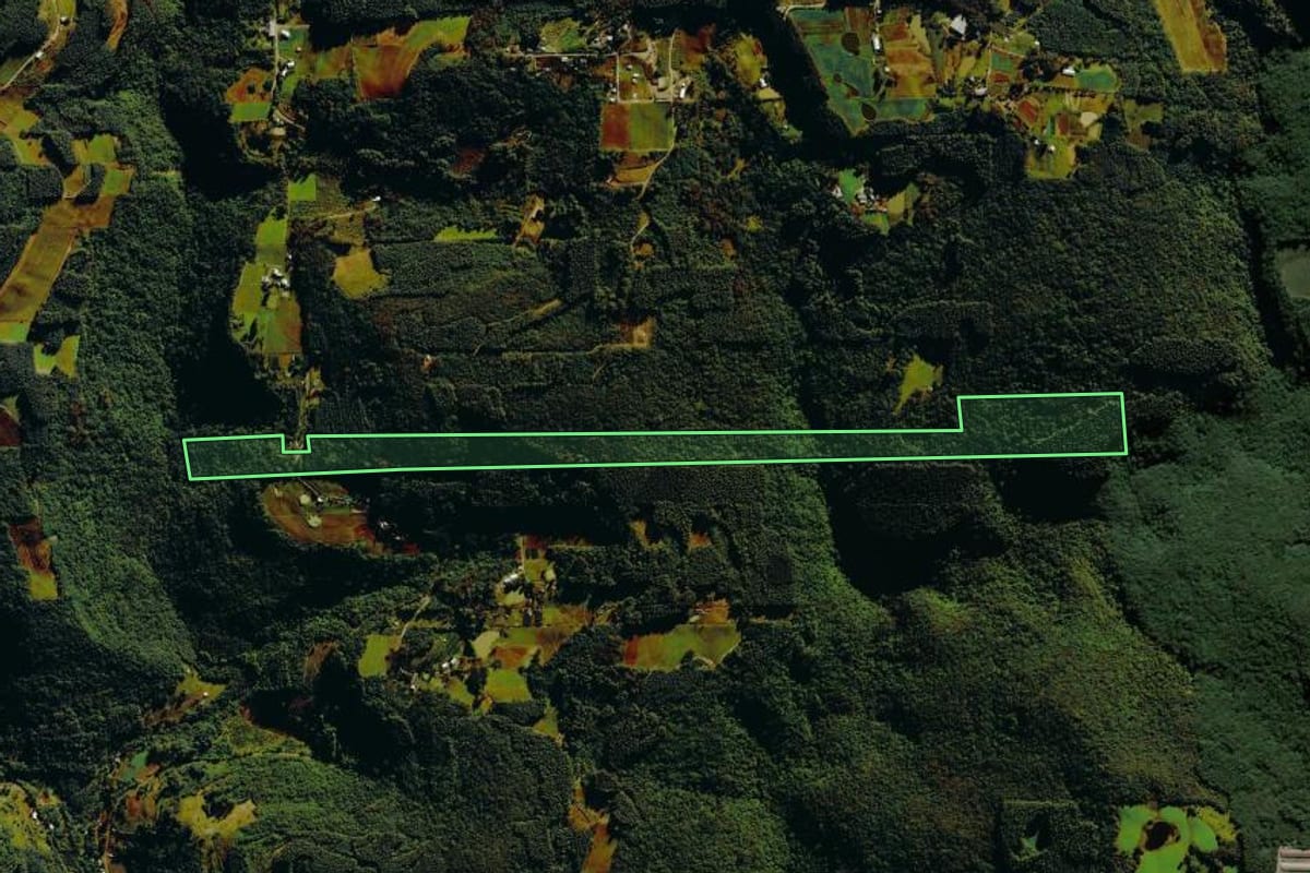 Imagem de satélite do imóvel rural em Farroupilha (RS), com o contorno declarado no CAR desenhado por cima.