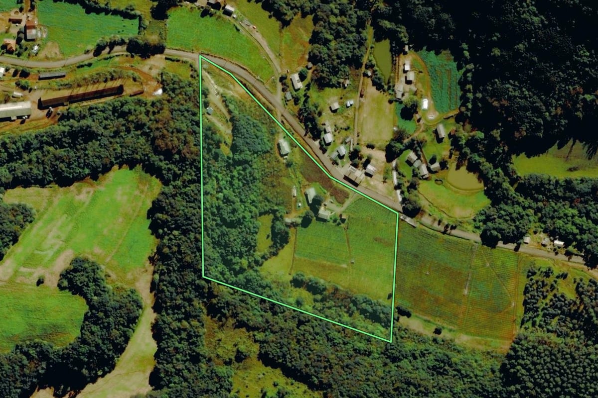 Imagem de satélite do imóvel rural em Farroupilha (RS), com o contorno declarado no CAR desenhado por cima.