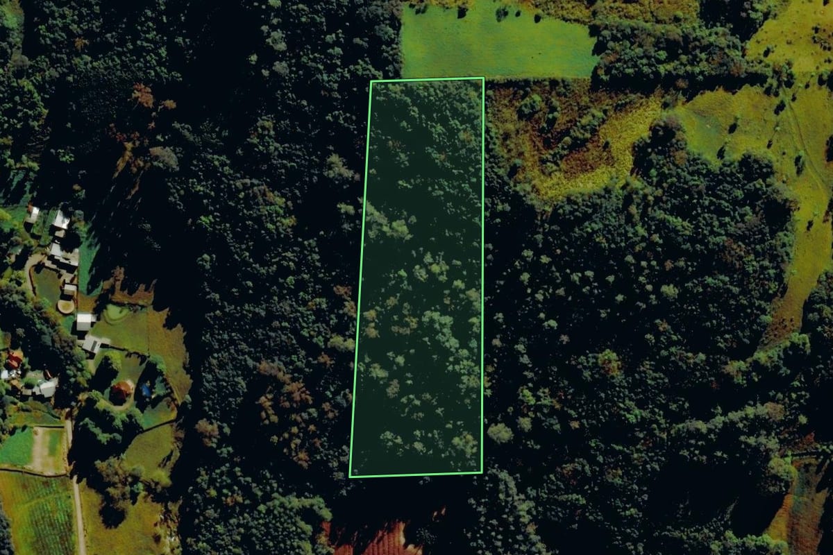 Imagem de satélite do imóvel rural em Farroupilha (RS), com o contorno declarado no CAR desenhado por cima.