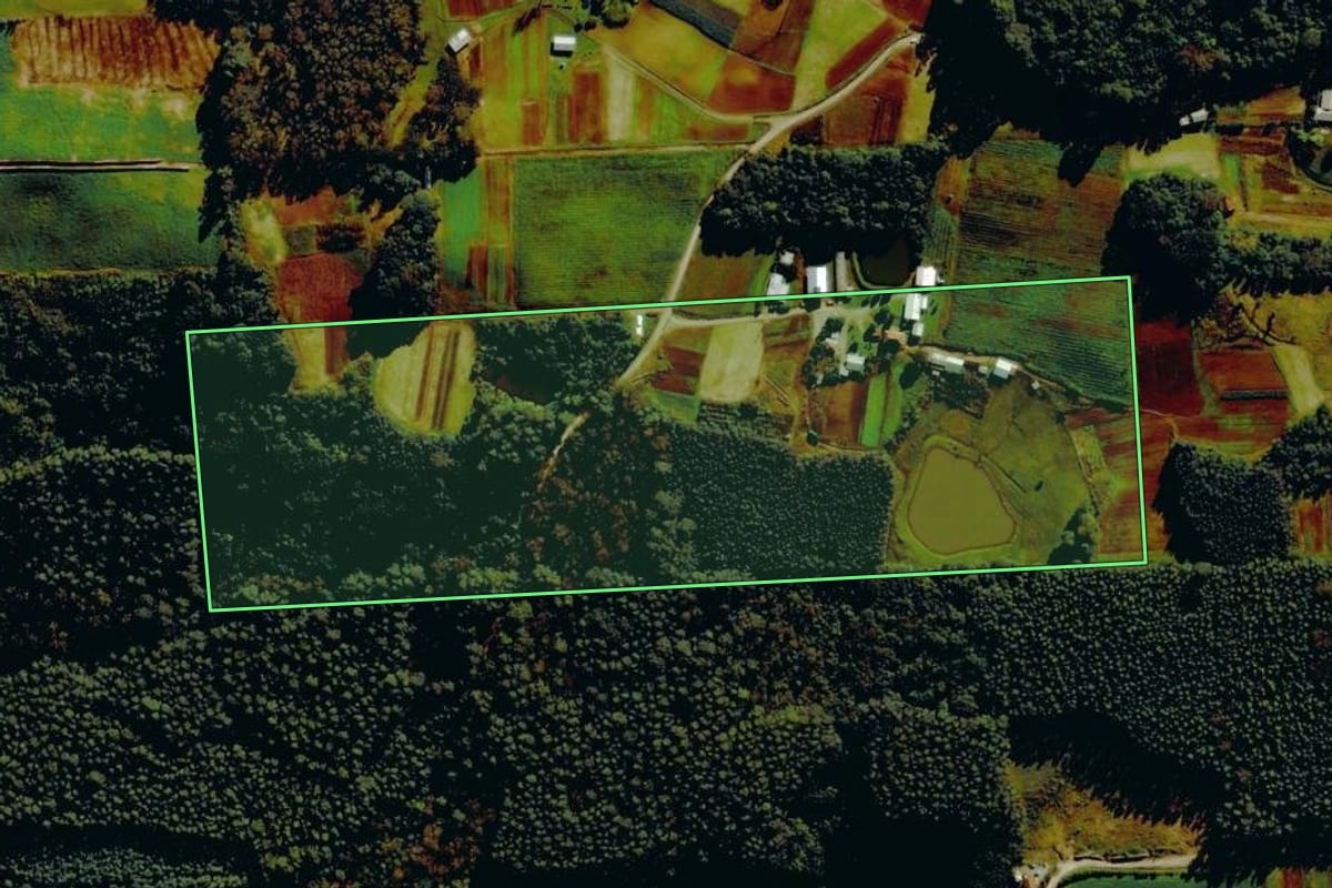 Imagem de satélite do imóvel rural em Farroupilha (RS), com o contorno declarado no CAR desenhado por cima.