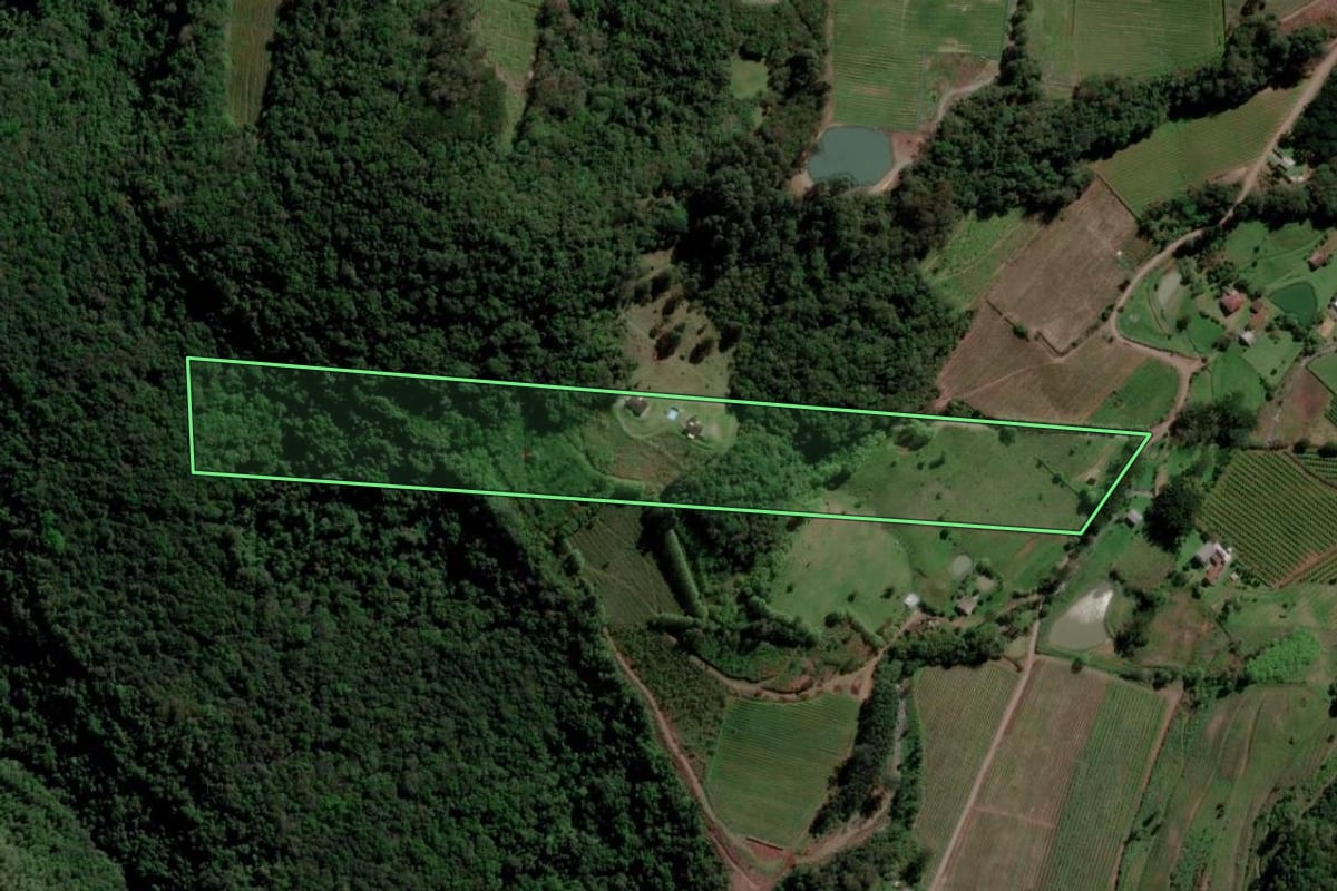 Imagem de satélite do imóvel rural em Farroupilha (RS), com o contorno declarado no CAR desenhado por cima.