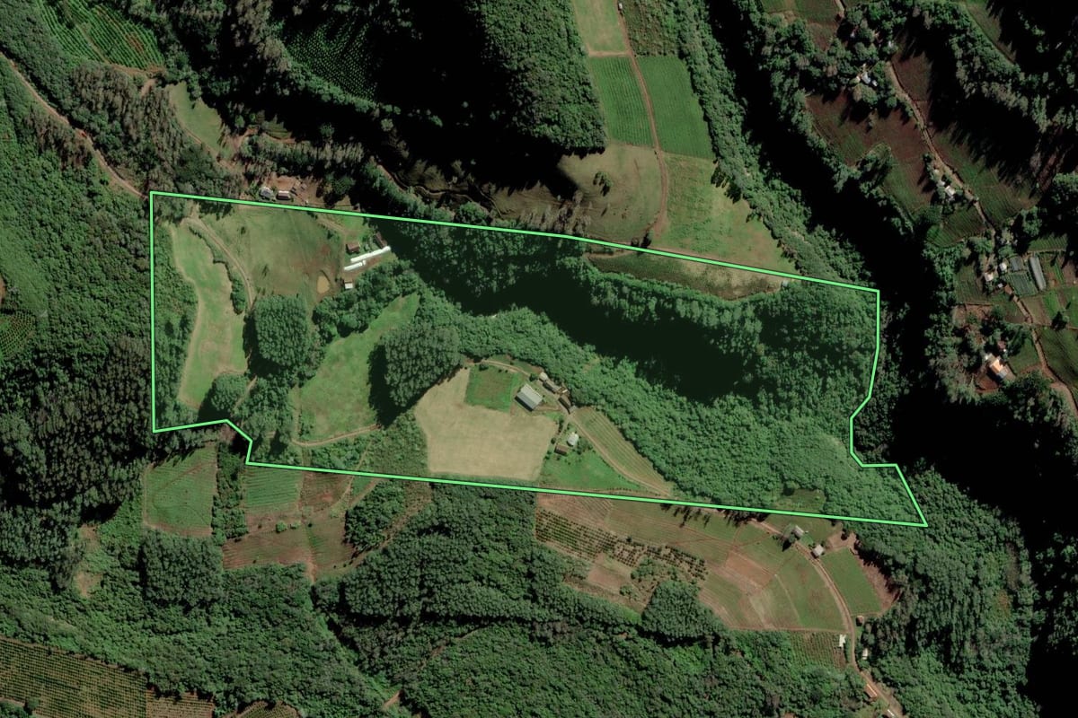 Imagem de satélite do imóvel rural em Farroupilha (RS), com o contorno declarado no CAR desenhado por cima.