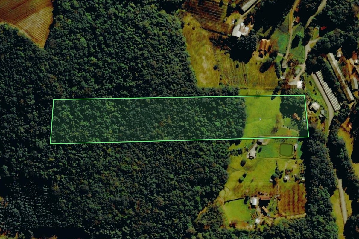 Imagem de satélite do imóvel rural em Farroupilha (RS), com o contorno declarado no CAR desenhado por cima.