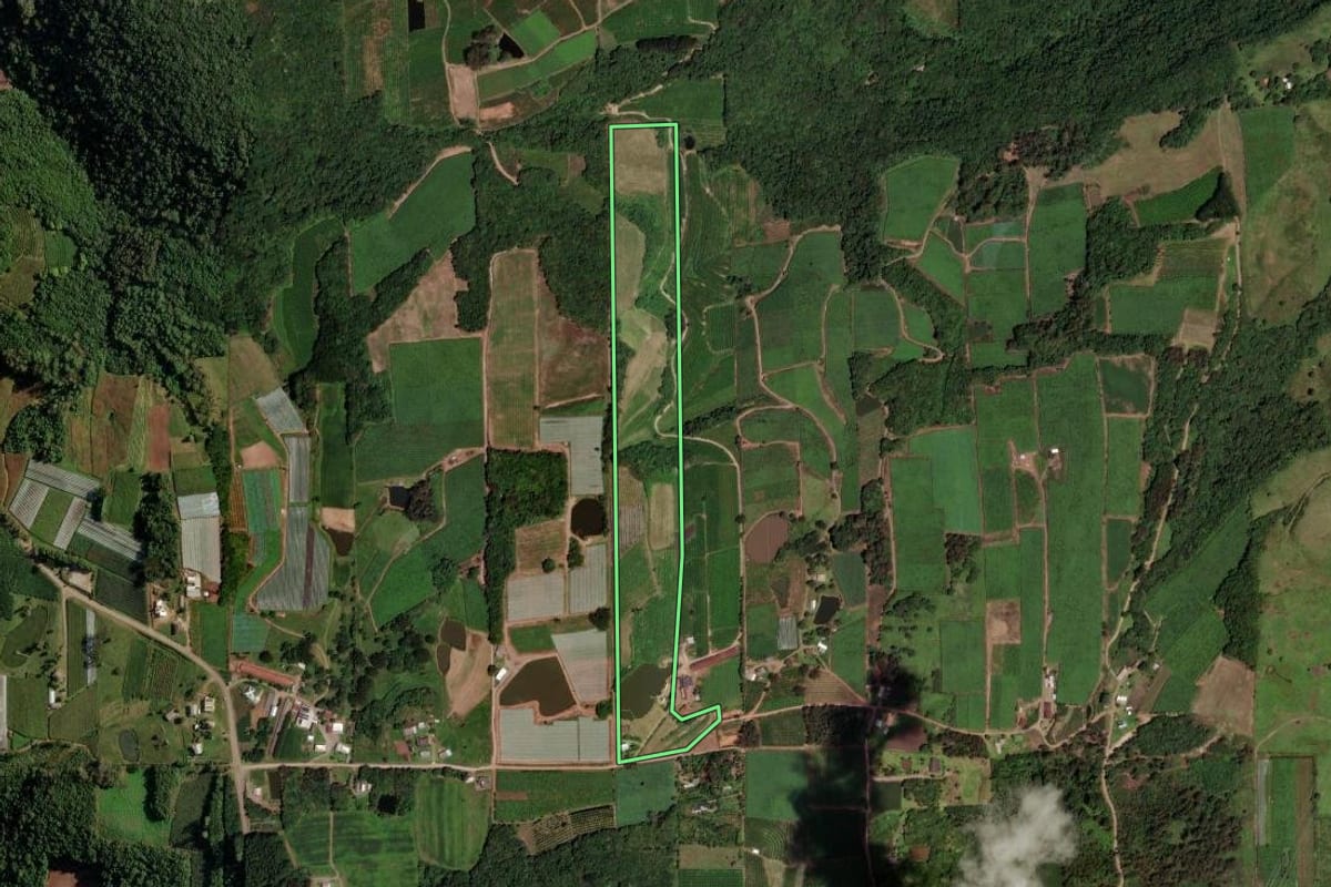 Imagem de satélite do imóvel rural em Farroupilha (RS), com o contorno declarado no CAR desenhado por cima.