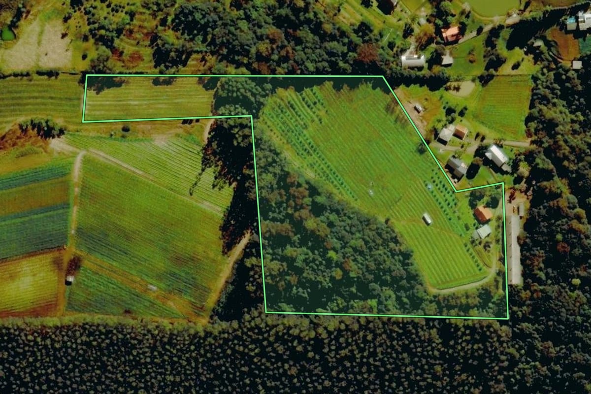 Imagem de satélite do imóvel rural em Farroupilha (RS), com o contorno declarado no CAR desenhado por cima.