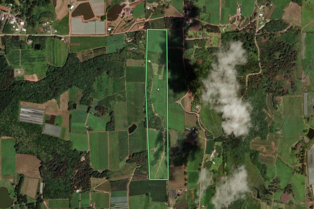 Imagem de satélite do imóvel rural em Farroupilha (RS), com o contorno declarado no CAR desenhado por cima.
