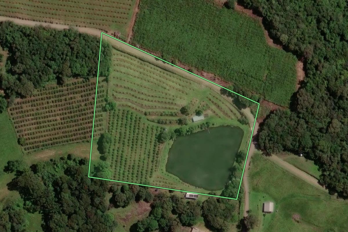 Imagem de satélite do imóvel rural em Farroupilha (RS), com o contorno declarado no CAR desenhado por cima.