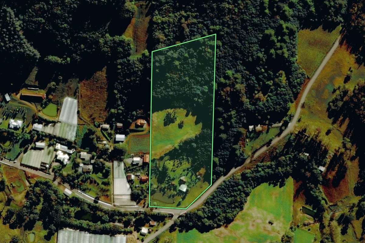 Imagem de satélite do imóvel rural em Farroupilha (RS), com o contorno declarado no CAR desenhado por cima.