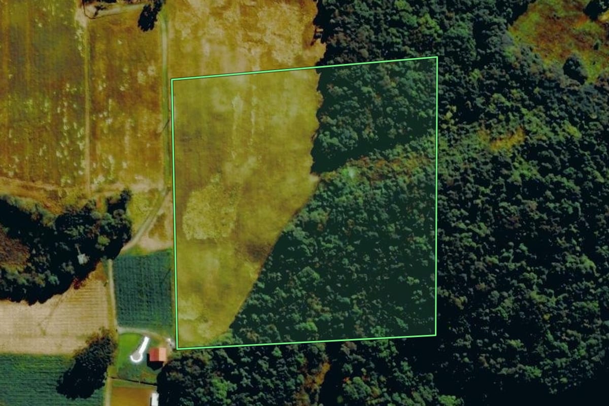 Imagem de satélite do imóvel rural em Farroupilha (RS), com o contorno declarado no CAR desenhado por cima.