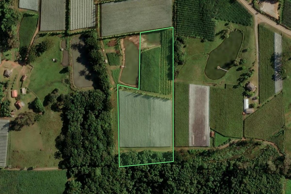 Imagem de satélite do imóvel rural em Farroupilha (RS), com o contorno declarado no CAR desenhado por cima.