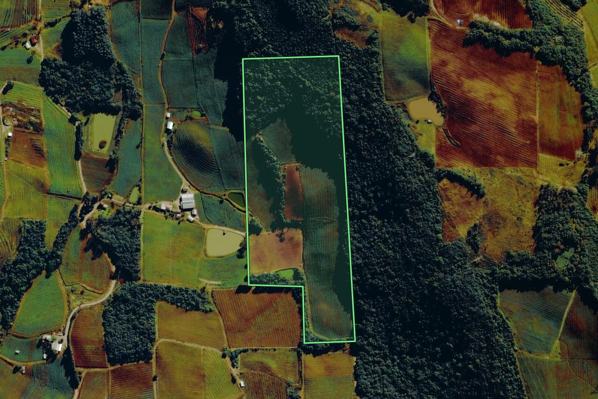 Imagem de satélite do imóvel rural em Farroupilha (RS), com o contorno declarado no CAR desenhado por cima.