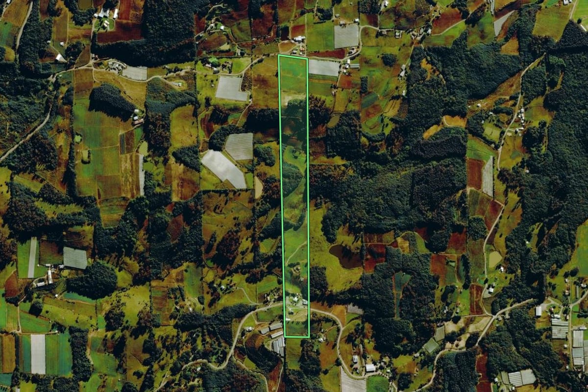 Imagem de satélite do imóvel rural em Farroupilha (RS), com o contorno declarado no CAR desenhado por cima.