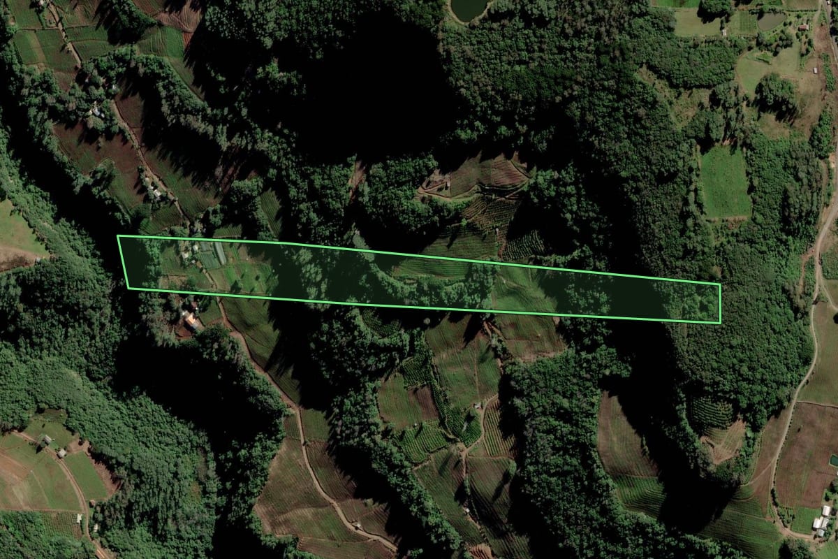 Imagem de satélite do imóvel rural em Farroupilha (RS), com o contorno declarado no CAR desenhado por cima.