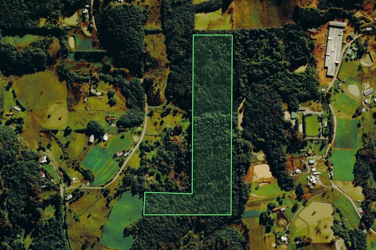 Imagem de satélite do imóvel rural em Farroupilha (RS), com o contorno declarado no CAR desenhado por cima.