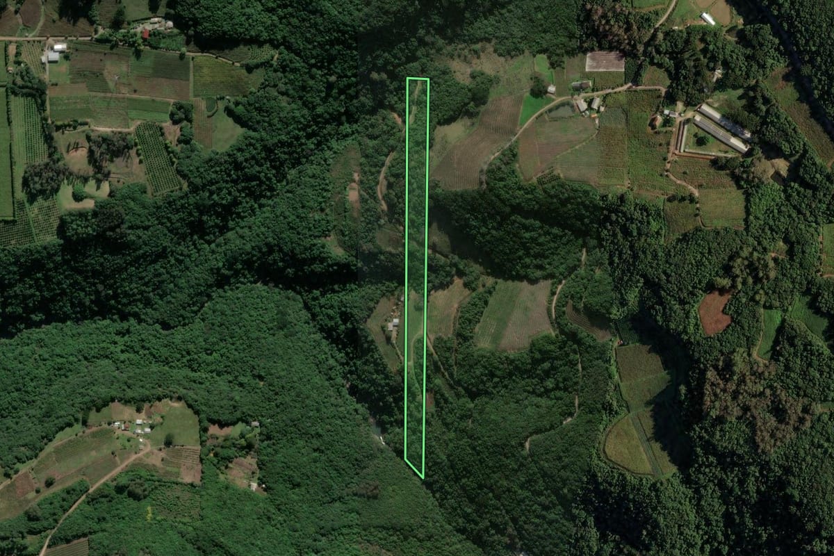 Imagem de satélite do imóvel rural em Farroupilha (RS), com o contorno declarado no CAR desenhado por cima.