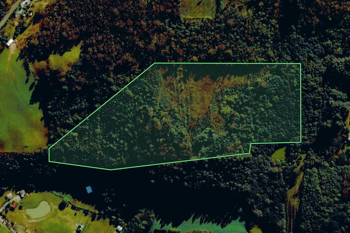 Imagem de satélite do imóvel rural em Farroupilha (RS), com o contorno declarado no CAR desenhado por cima.