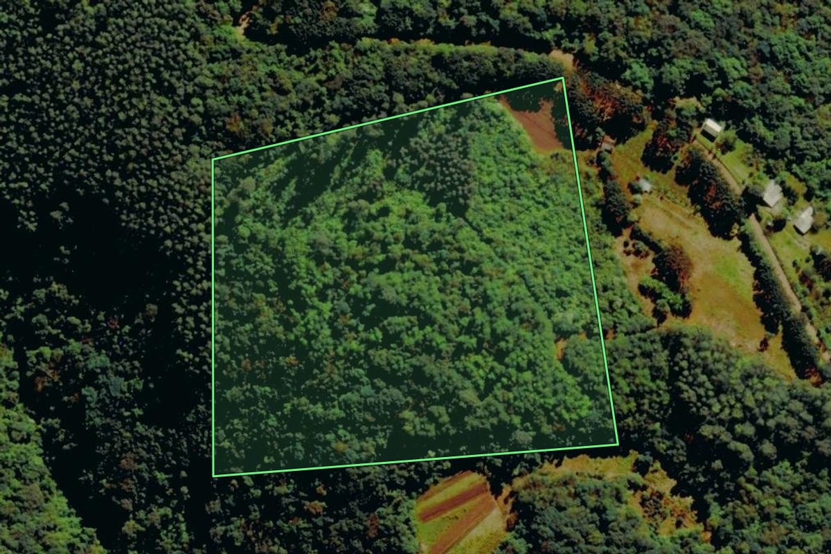Imagem de satélite do imóvel rural em Farroupilha (RS), com o contorno declarado no CAR desenhado por cima.