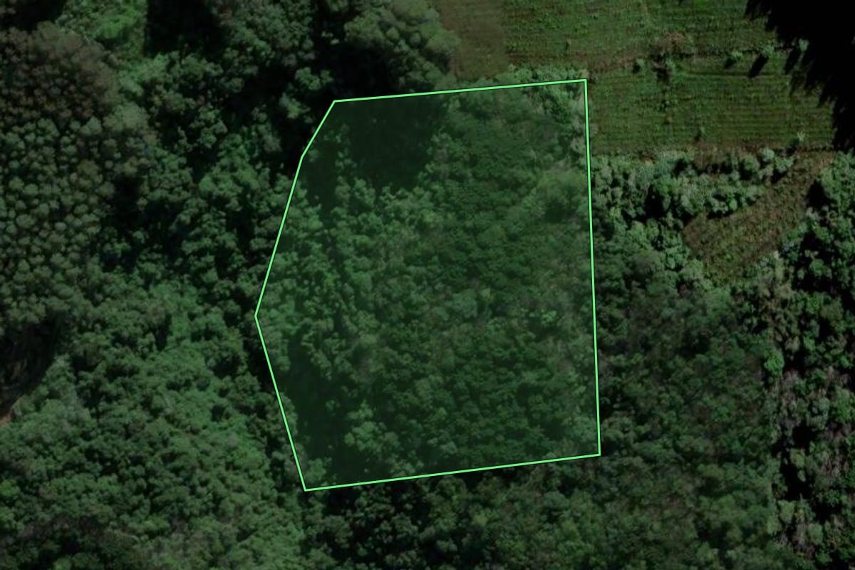 Imagem de satélite do imóvel rural em Farroupilha (RS), com o contorno declarado no CAR desenhado por cima.