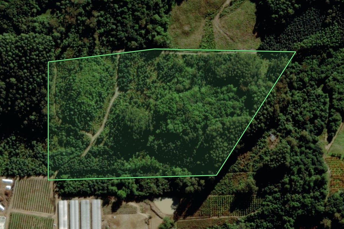 Imagem de satélite do imóvel rural em Farroupilha (RS), com o contorno declarado no CAR desenhado por cima.