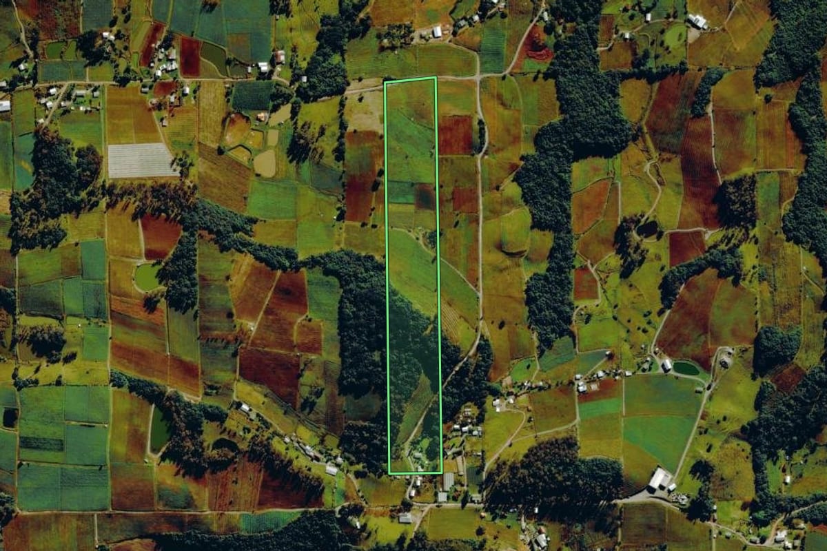 Imagem de satélite do imóvel rural em Farroupilha (RS), com o contorno declarado no CAR desenhado por cima.