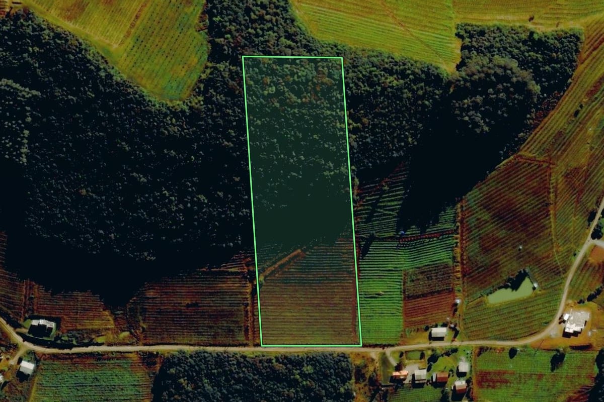 Imagem de satélite do imóvel rural em Farroupilha (RS), com o contorno declarado no CAR desenhado por cima.