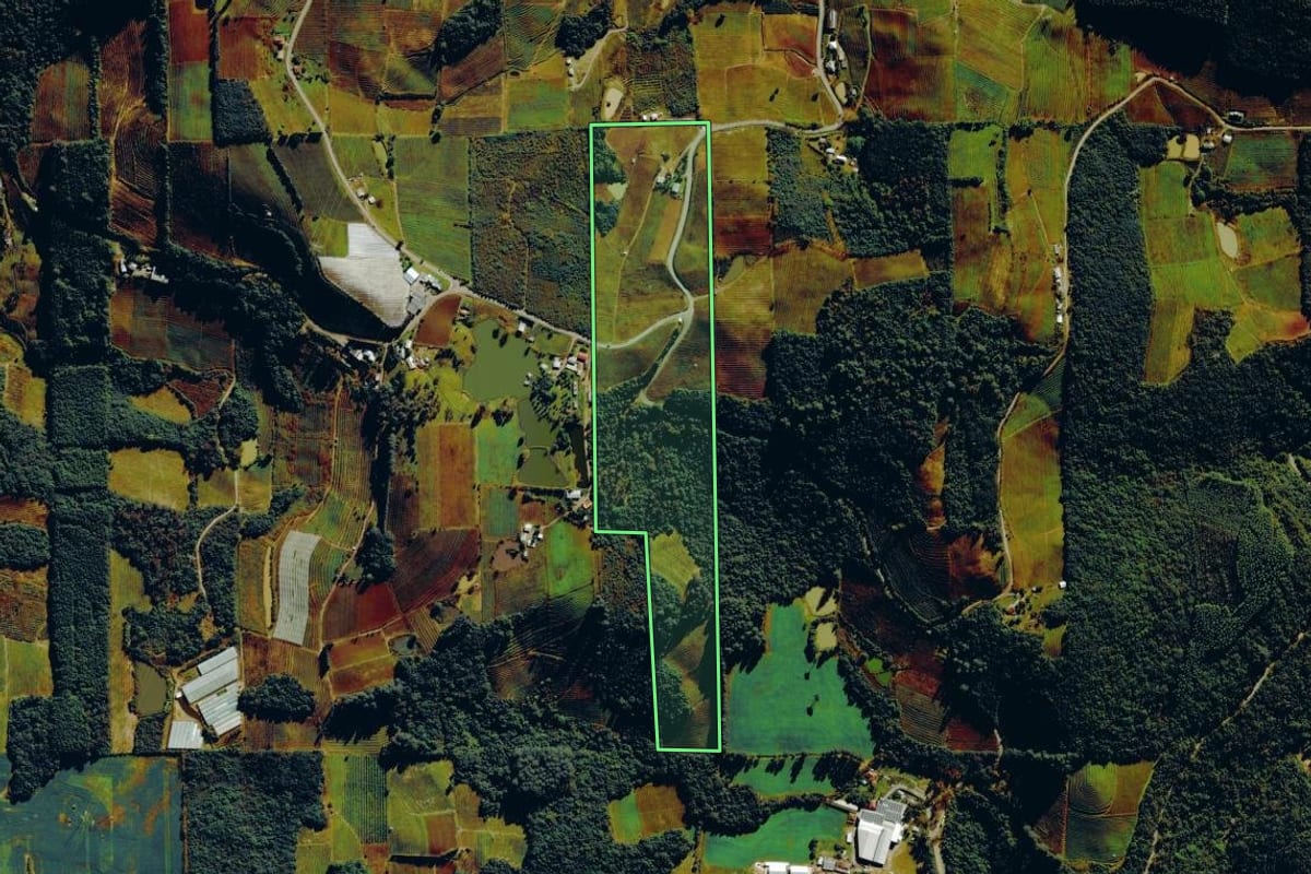 Imagem de satélite do imóvel rural em Farroupilha (RS), com o contorno declarado no CAR desenhado por cima.