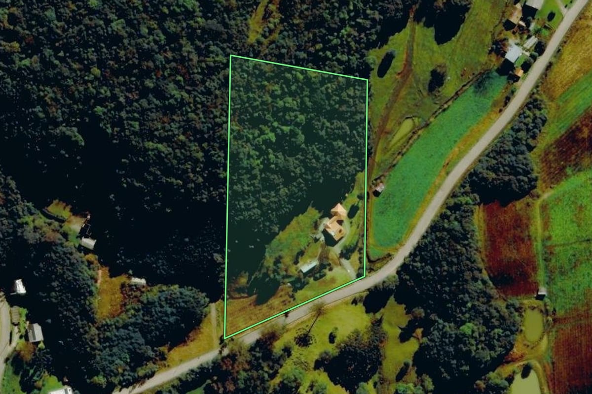 Imagem de satélite do imóvel rural em Farroupilha (RS), com o contorno declarado no CAR desenhado por cima.