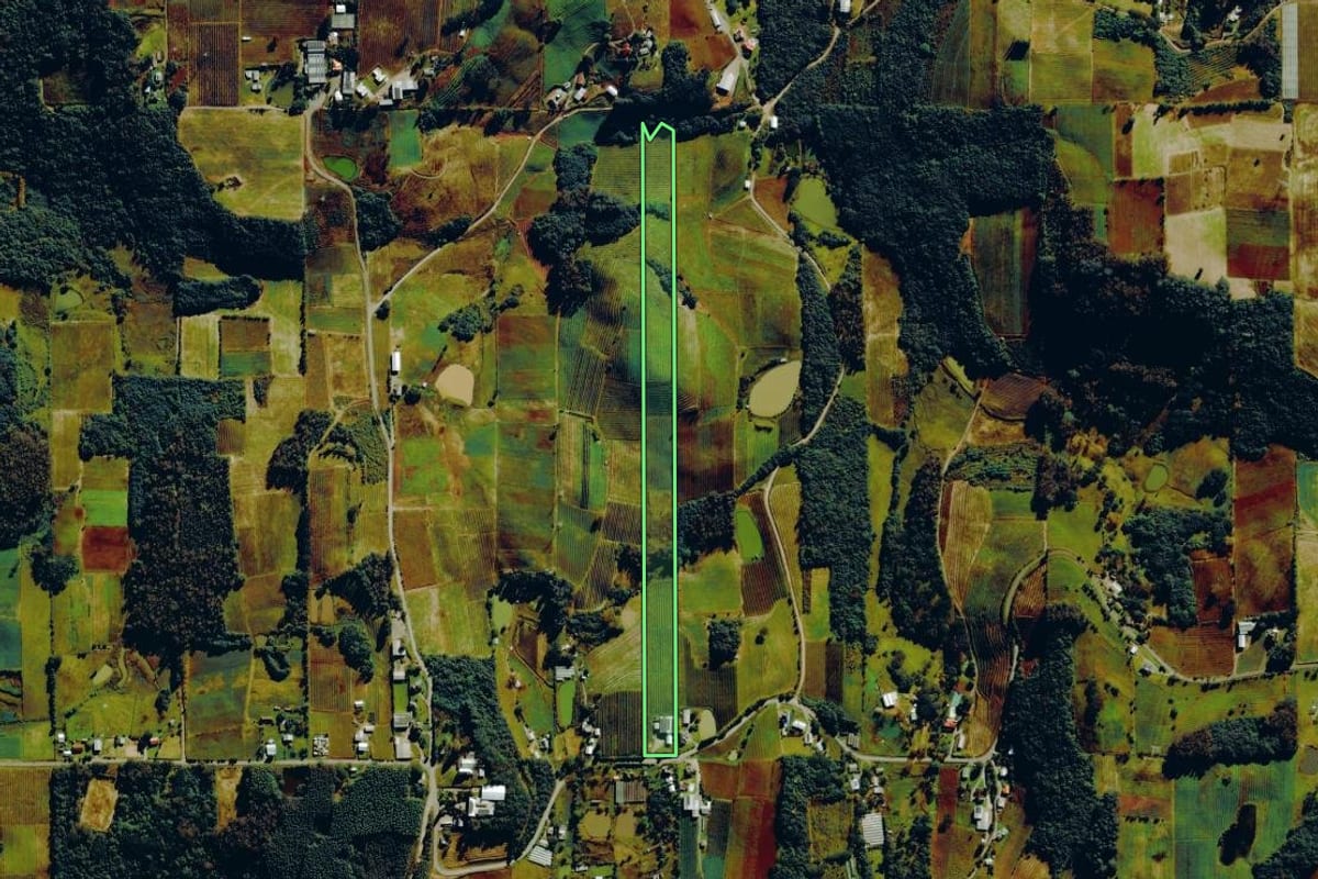 Imagem de satélite do imóvel rural em Farroupilha (RS), com o contorno declarado no CAR desenhado por cima.