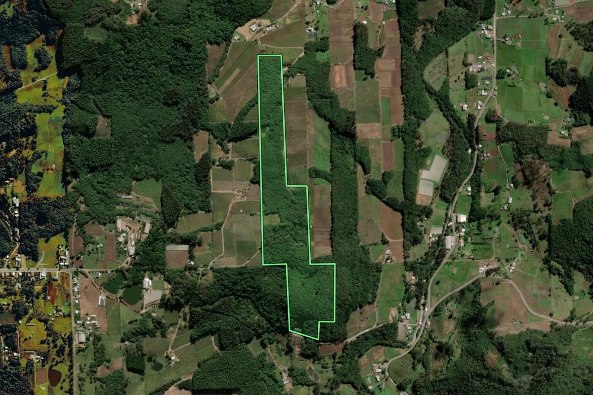 Imagem de satélite do imóvel rural em Farroupilha (RS), com o contorno declarado no CAR desenhado por cima.