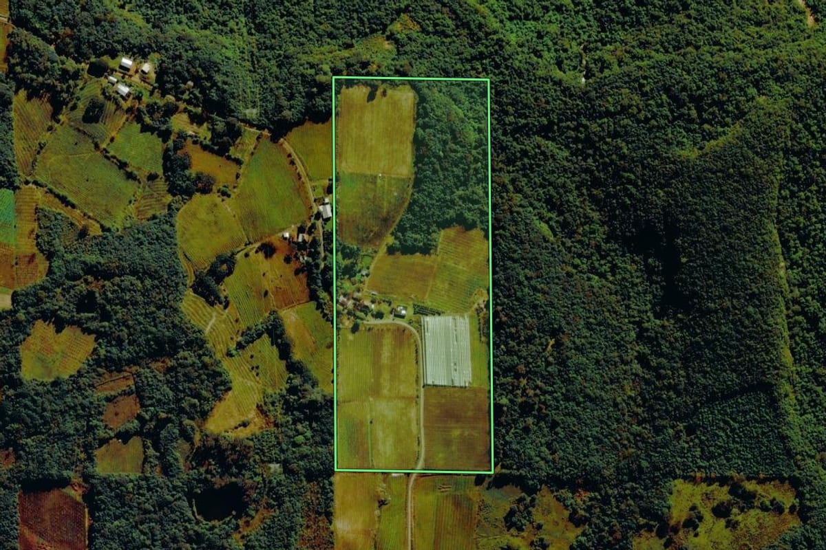 Imagem de satélite do imóvel rural em Farroupilha (RS), com o contorno declarado no CAR desenhado por cima.