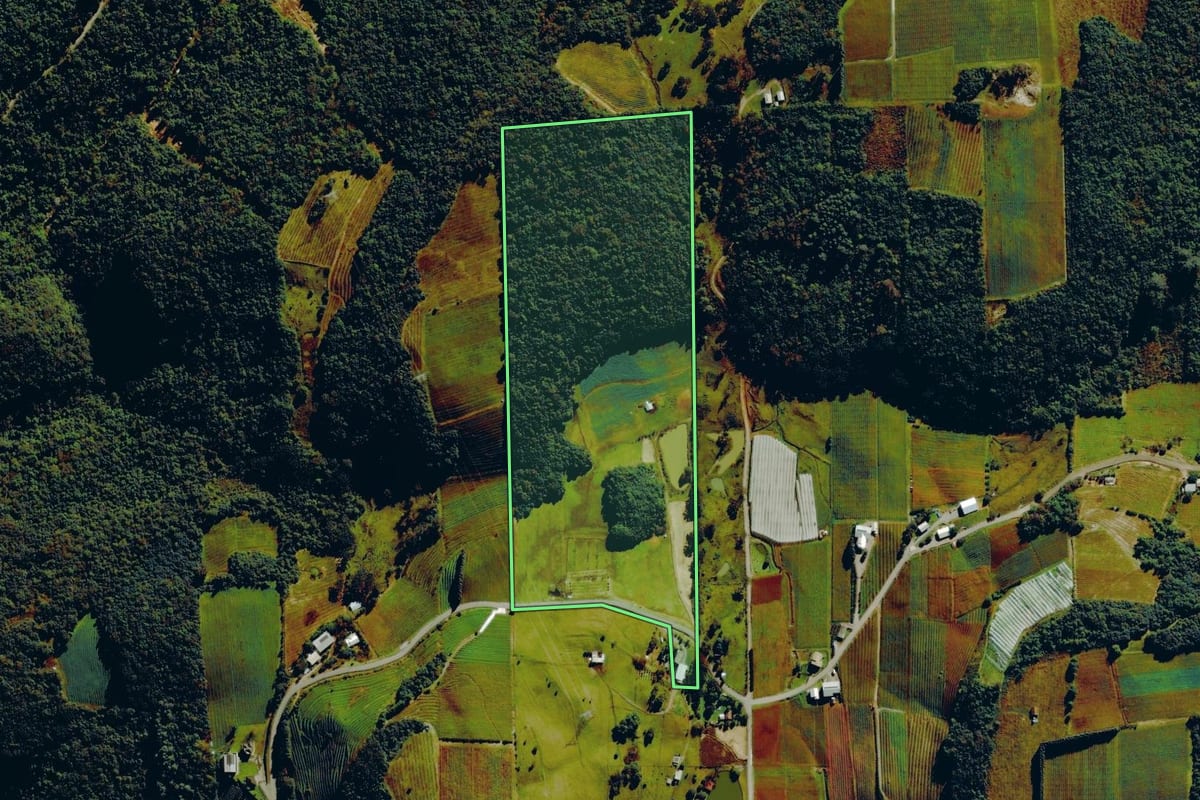 Imagem de satélite do imóvel rural em Farroupilha (RS), com o contorno declarado no CAR desenhado por cima.