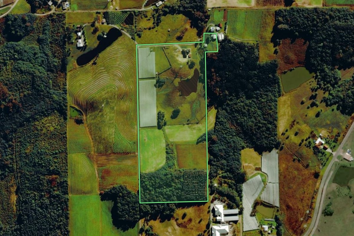 Imagem de satélite do imóvel rural em Farroupilha (RS), com o contorno declarado no CAR desenhado por cima.