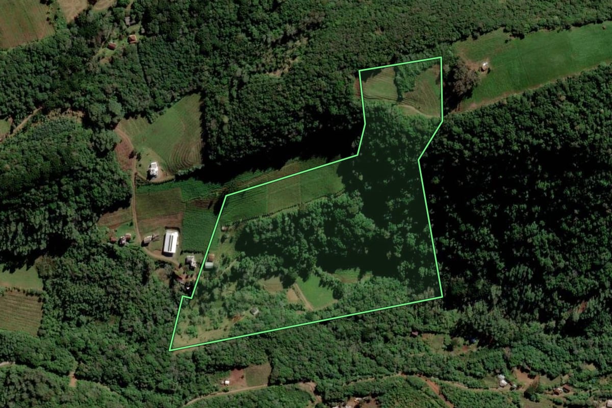Imagem de satélite do imóvel rural em Farroupilha (RS), com o contorno declarado no CAR desenhado por cima.