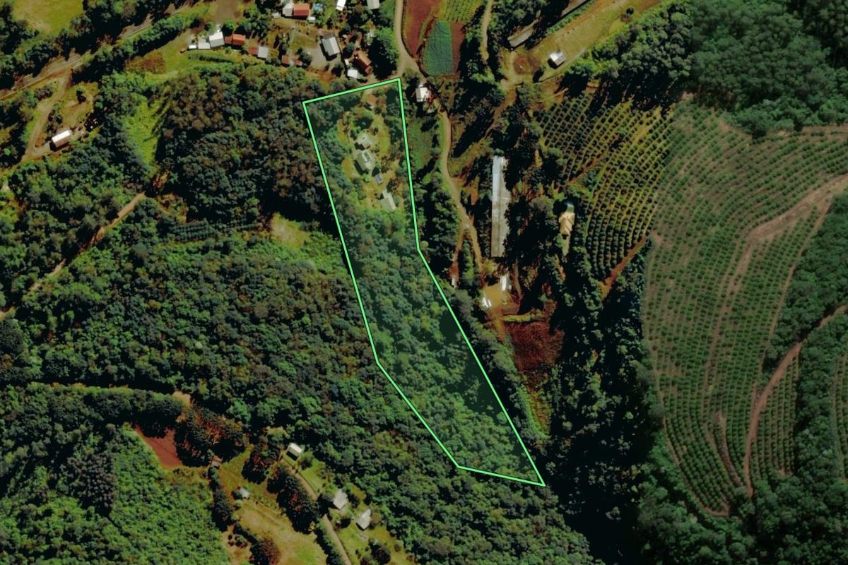 Imagem de satélite do imóvel rural em Farroupilha (RS), com o contorno declarado no CAR desenhado por cima.