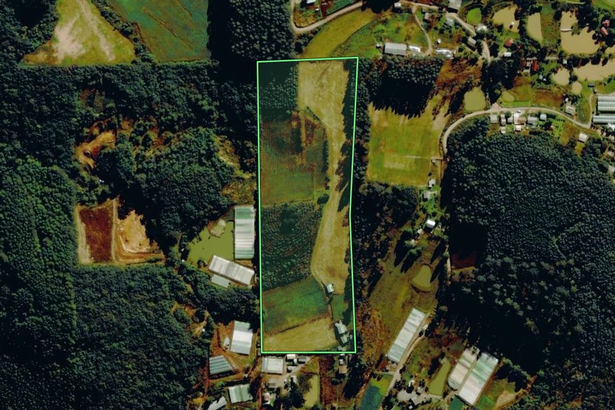 Imagem de satélite do imóvel rural em Farroupilha (RS), com o contorno declarado no CAR desenhado por cima.