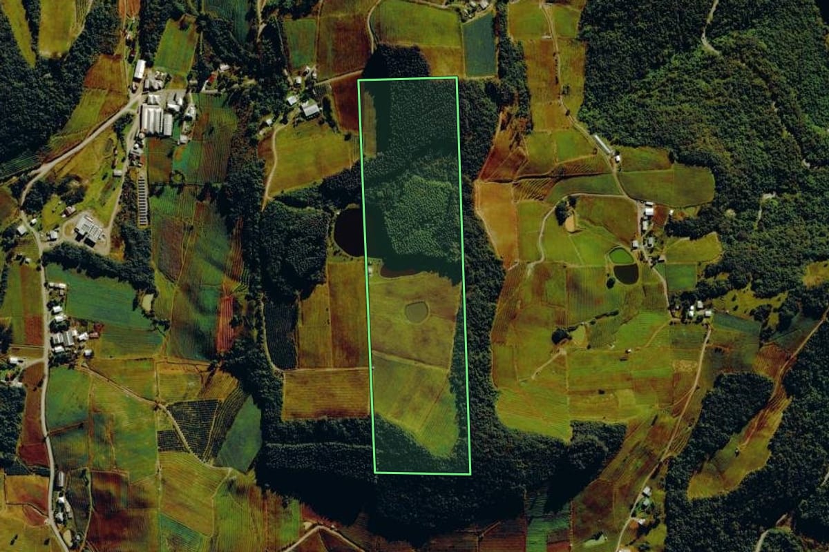 Imagem de satélite do imóvel rural em Farroupilha (RS), com o contorno declarado no CAR desenhado por cima.