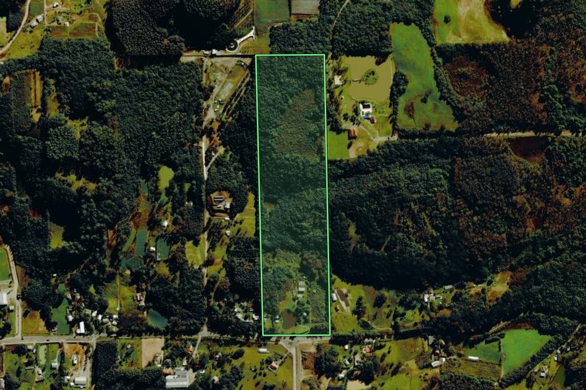 Imagem de satélite do imóvel rural em Farroupilha (RS), com o contorno declarado no CAR desenhado por cima.
