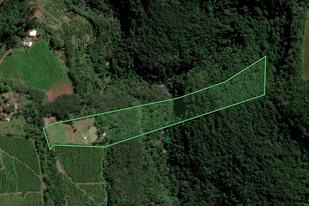 Imagem de satélite do imóvel rural em Farroupilha (RS), com o contorno declarado no CAR desenhado por cima.