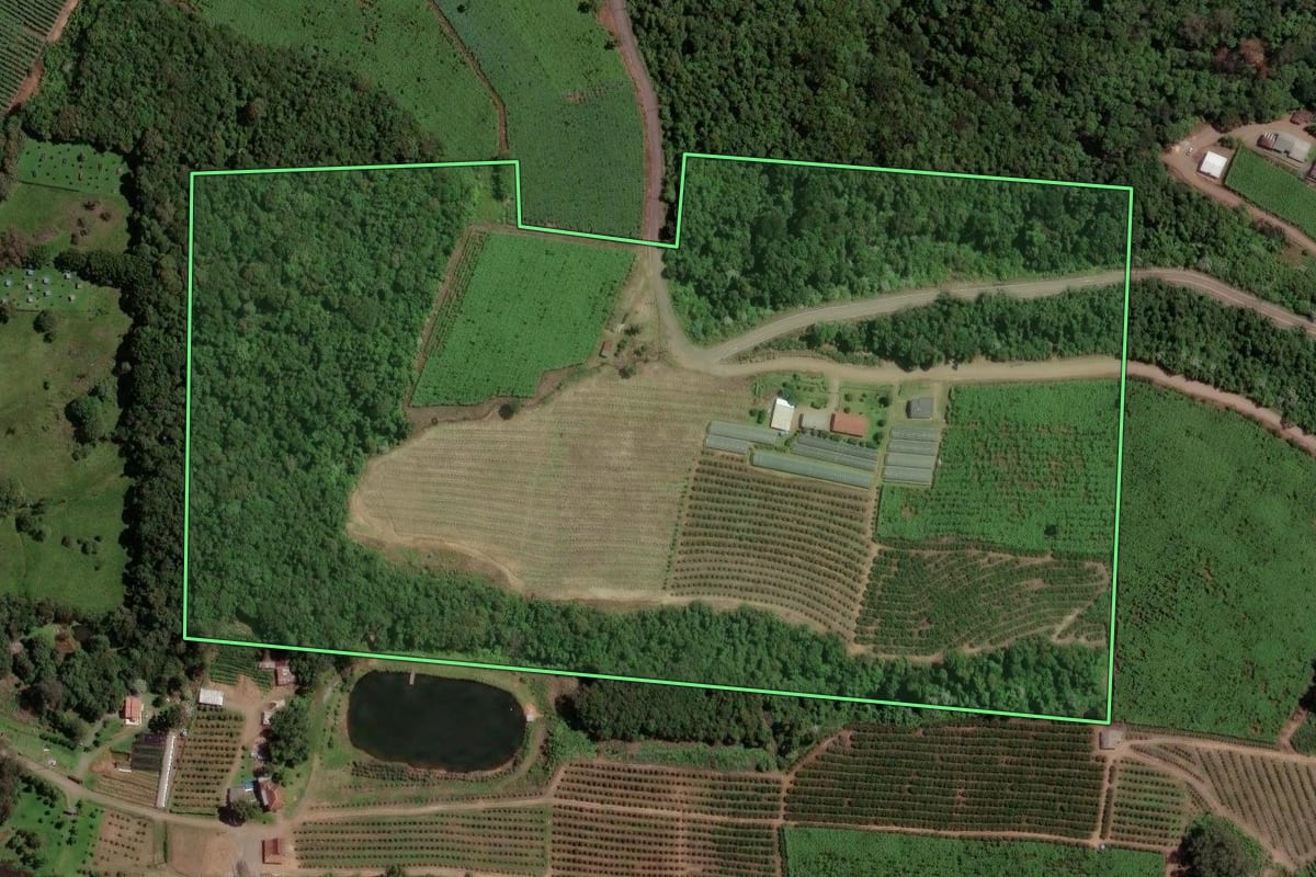 Imagem de satélite do imóvel rural em Farroupilha (RS), com o contorno declarado no CAR desenhado por cima.
