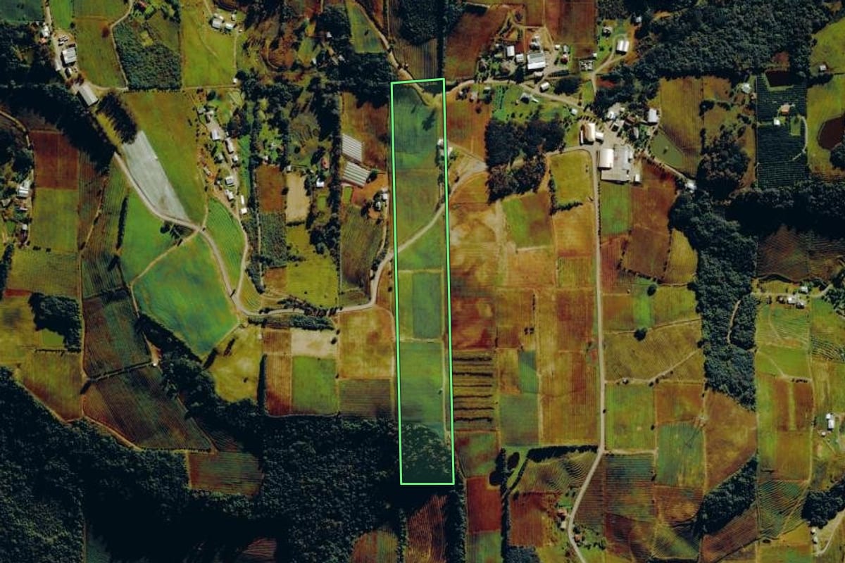 Imagem de satélite do imóvel rural em Farroupilha (RS), com o contorno declarado no CAR desenhado por cima.