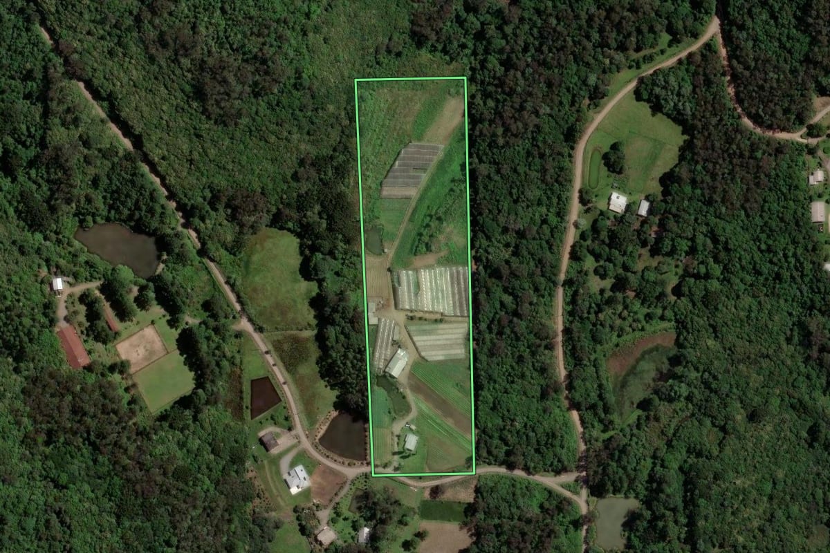 Imagem de satélite do imóvel rural em Farroupilha (RS), com o contorno declarado no CAR desenhado por cima.